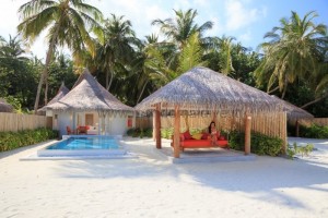 Sun Siyam Vilu Reef  Dhaalu Maldive 26
