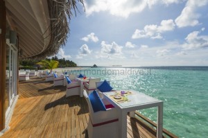 Sun Siyam Vilu Reef  Dhaalu Maldive 83