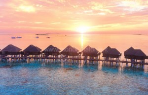 Sun Siyam Vilu Reef  Dhaalu Maldive 72