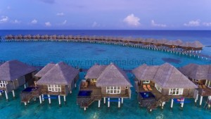 Sun Siyam Vilu Reef  Dhaalu Maldive 75