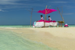 Sun Siyam Vilu Reef  Dhaalu Maldive 89