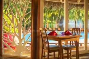 Sun Siyam Vilu Reef  Dhaalu Maldive 86