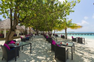 Sun Siyam Vilu Reef  Dhaalu Maldive 111