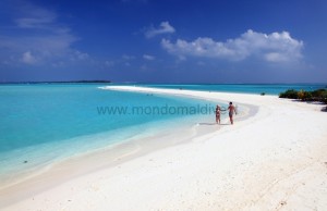 Villa Park at Sun Island  Ari Sud Maldive 9