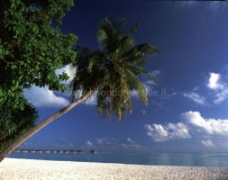 Villa Park at Sun Island  Ari Sud Maldive 12