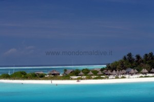 Villa Park at Sun Island  Ari Sud Maldive 14