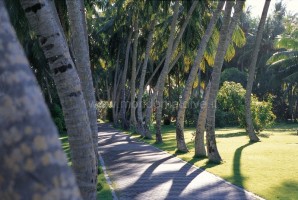 Villa Park at Sun Island  Ari Sud Maldive 15