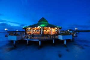 Villa Park at Sun Island  Ari Sud Maldive 96