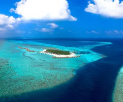 You & Me Cocoon Maldives  Raa Maldive 1