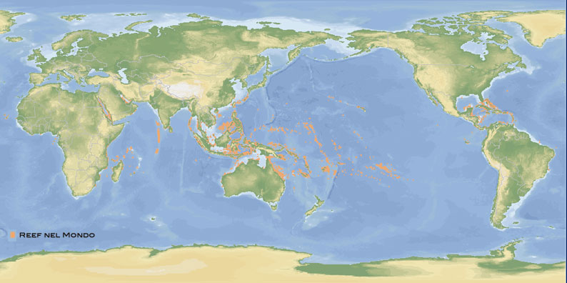 le barriere coralline nel mondo