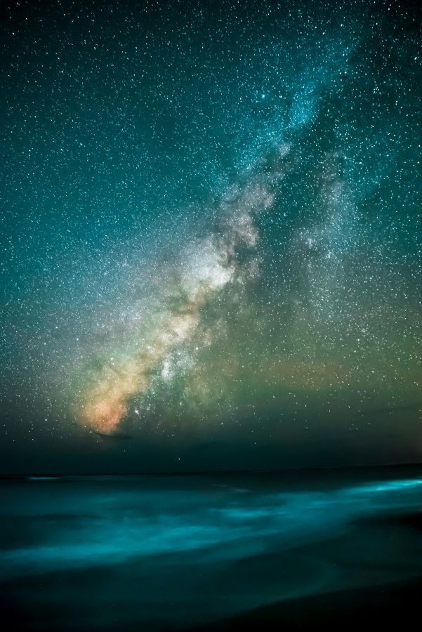 bioluminescenza, plancton, isole Maldive