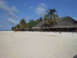 Alimathà Maldives Felidhoo Maldive 15