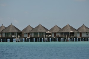 Safari Island Resort Ari Nord Maldive 28