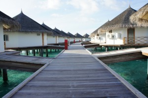 Safari Island Resort Ari Nord Maldive 33
