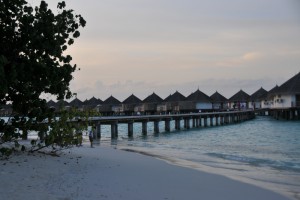 Safari Island Resort Ari Nord Maldive 42