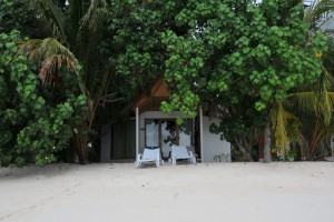 Safari Island Resort Ari Nord Maldive 53
