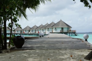 Safari Island Resort Ari Nord Maldive 58