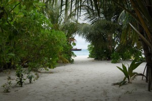 Safari Island Resort Ari Nord Maldive 61
