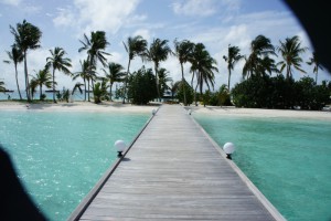 Safari Island Resort Ari Nord Maldive 64