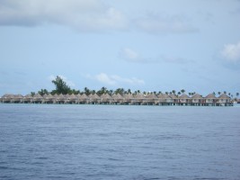 Safari Island Resort Ari Nord Maldive 91