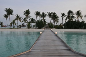 Safari Island Resort Ari Nord Maldive 5