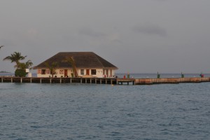 Safari Island Resort Ari Nord Maldive 6
