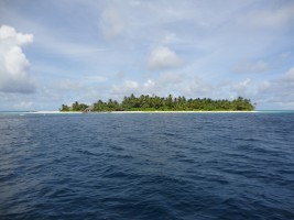 Angaga Island Resort Ari Sud Maldive 4