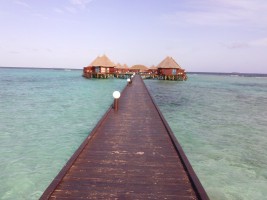 Angaga Island Resort Ari Sud Maldive 13