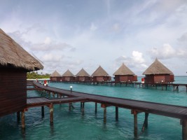 Angaga Island Resort Ari Sud Maldive 15