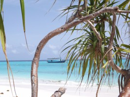 Angaga Island Resort Ari Sud Maldive 24