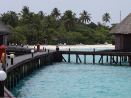 Angaga Island Resort Ari Sud Maldive 26
