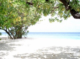 Thudufushi Diamonds Island Resort Ari Sud Maldive 8
