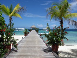 Komandoo Island Resort Lhaviyani Maldive 3