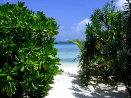 Komandoo Island Resort Lhaviyani Maldive 7