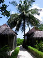 Komandoo Island Resort Lhaviyani Maldive 18