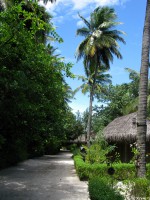 Komandoo Island Resort Lhaviyani Maldive 19