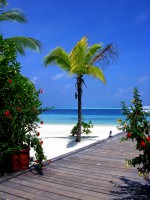 Komandoo Island Resort Lhaviyani Maldive 30