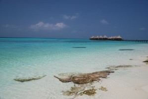 Angaga Island Resort Ari Sud Maldive 8