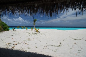 Angaga Island Resort Ari Sud Maldive 18