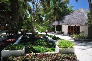 Angaga Island Resort Ari Sud Maldive 38