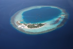 Angaga Island Resort Ari Sud Maldive 61