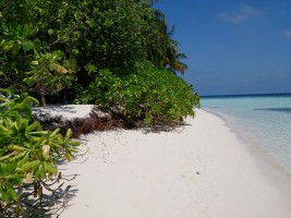 Angaga Island Resort Ari Sud Maldive 82