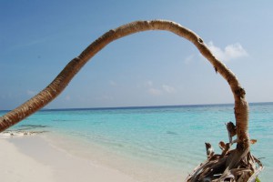 Coco Palm Dhuni Kolhu Baa Maldive 31