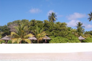 Coco Palm Dhuni Kolhu Baa Maldive 28