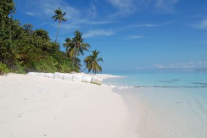 Coco Palm Dhuni Kolhu Baa Maldive 13