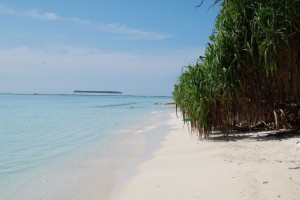 Coco Palm Dhuni Kolhu Baa Maldive 12