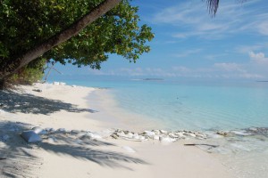 Coco Palm Dhuni Kolhu Baa Maldive 11