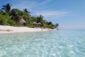 Coco Palm Dhuni Kolhu Baa Maldive 10