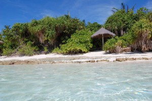Coco Palm Dhuni Kolhu Baa Maldive 9