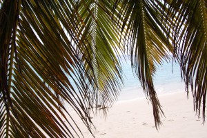 Coco Palm Dhuni Kolhu Baa Maldive 34